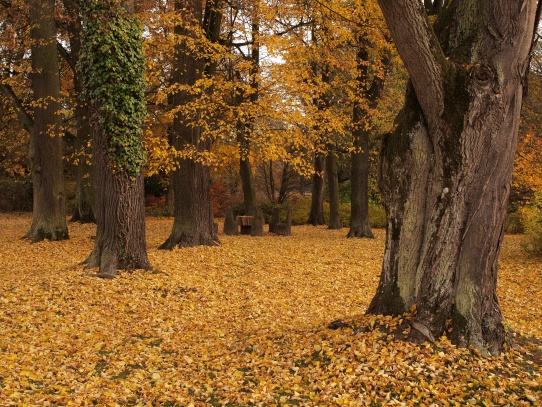 Zámek Častolovice-zahrada