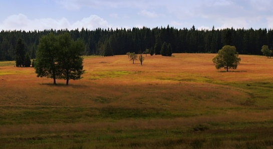 Jelení u Přebuze