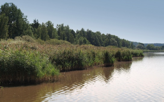 Rybník a ptačí oblast Řežabinec 