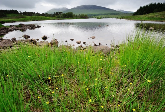 SKOTSKO - u jezera LOCH TULLA