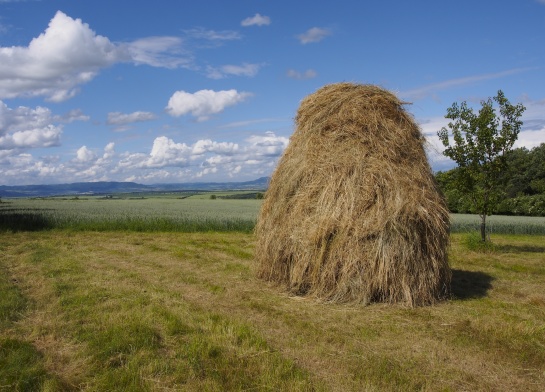 Léto na Libochovicemi