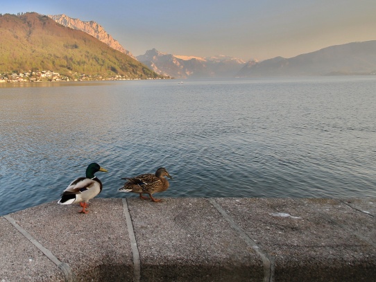 Jezero Traunsee u města Gmunden