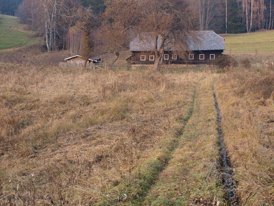 Puchingrův Dvůr u Jelenova  (Buchingerhof)