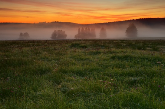 Šumava