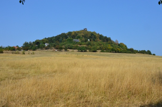 Starý Berštejn, zřícenina hradu 