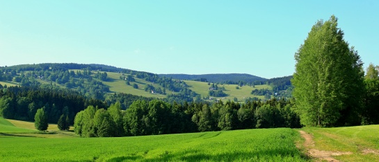 Paseky nad Jizerou