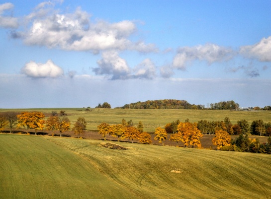 Rozhledna Heřmanice