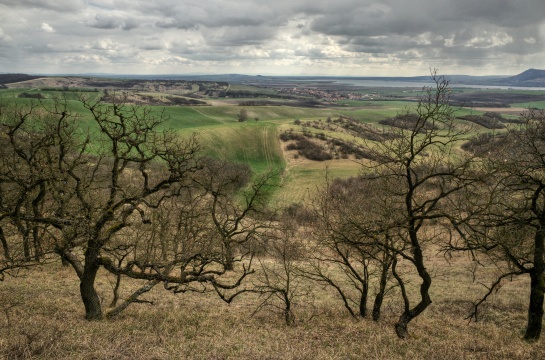 Pálava, Pavlovské vrchy, Pouzdřanská step, Novomlýnské nádrže