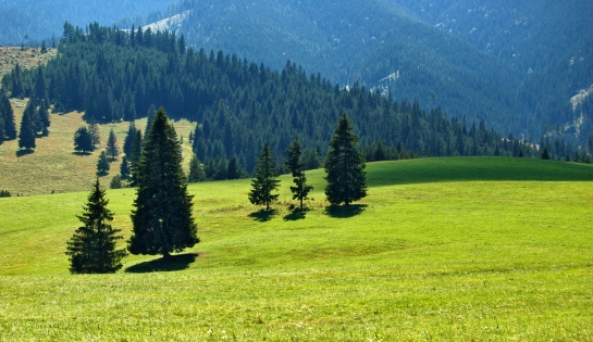 Nízké Tatry