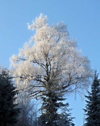 Na Soláni - Velké Karlovice