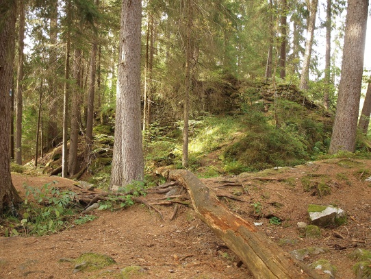 Zřícenina hradu Hus u Prachatic