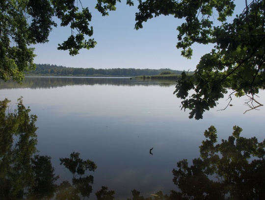 Rybník a ptačí oblast Řežabinec 