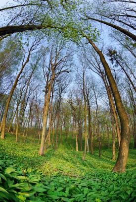 Těšínsko, Třinecko, Jablunkovsko