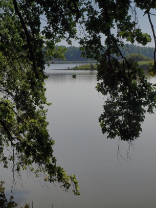 Rybník a ptačí oblast Řežabinec 