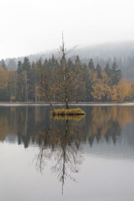 Národní přírodní rezervace Kladské rašeliny