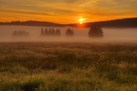 Šumava