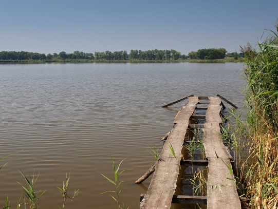 Rybník a ptačí oblast Řežabinec 