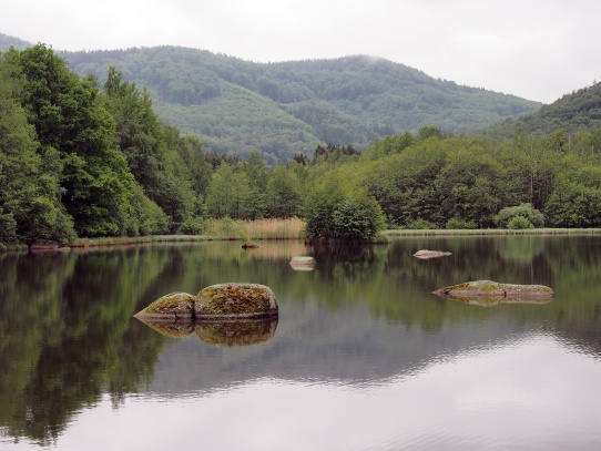 Oldřichovské háje a skály NS