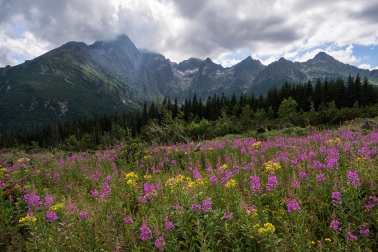 Štíty nad Dolinou Zeleného plesa z Pastvin