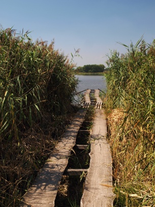 Rybník a ptačí oblast Řežabinec 