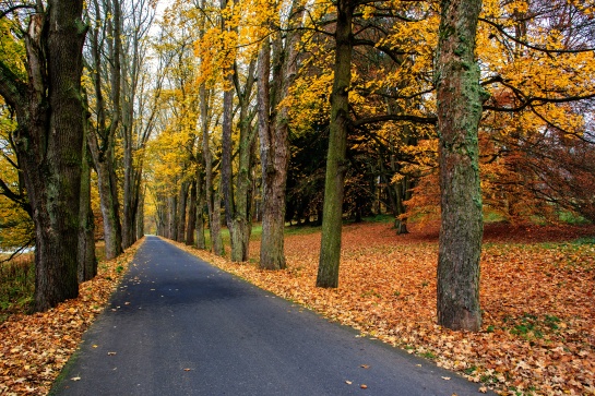 Zámek a park Kynžvart