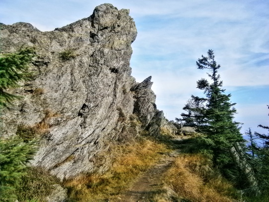 Velký Ostrý/ „Grosser Osser“ (1293 m n.m.)