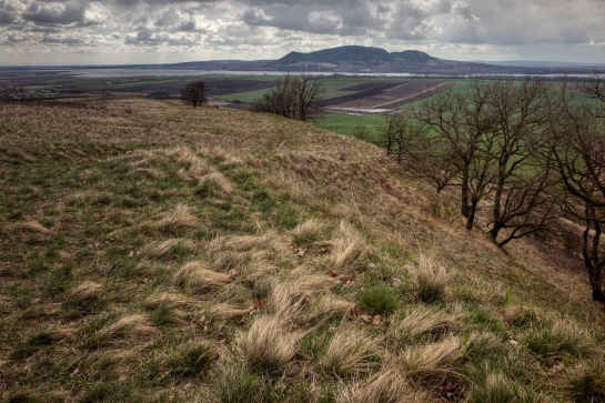 Pálava, Pavlovské vrchy, Pouzdřanská step, Novomlýnské nádrže