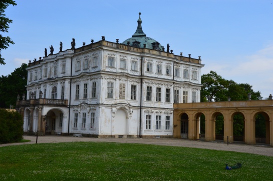 Zámek Ploskovice,zadní pohled