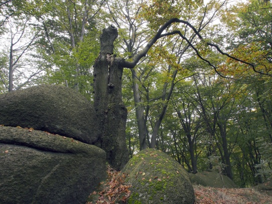 Oldřichovské háje a skály NS