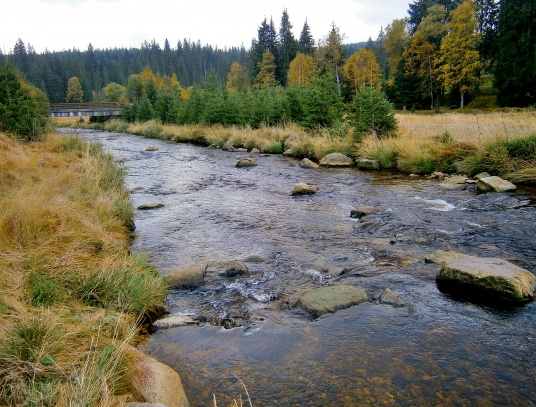 Tříjezerní slať 