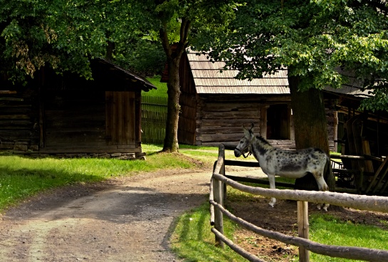 Valašské muzeum v přírodě