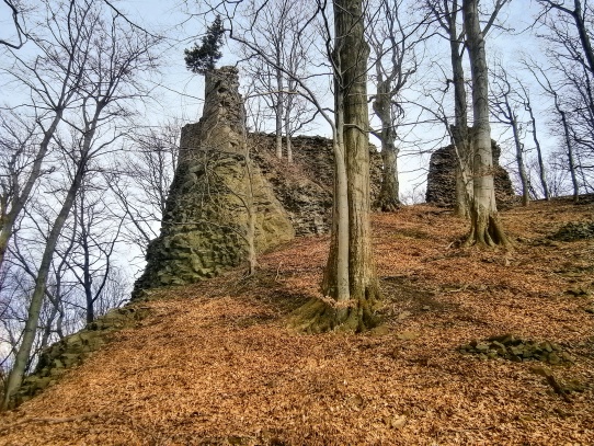 Zřícenina hradu Bradlec 