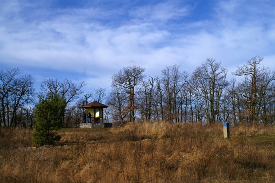 Závist u Zbraslavi - největší keltské oppidum