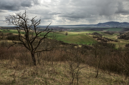 Pálava, Pavlovské vrchy, Pouzdřanská step, Novomlýnské nádrže