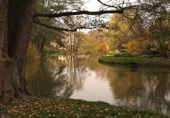 Zámecká zahrada Častolovice