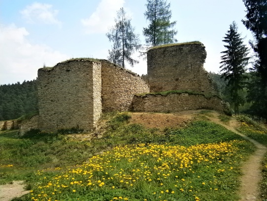 Zřícenina hradu Pořešín