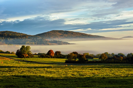 Šumava - Královský hvozd