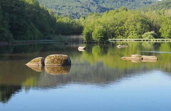 Oldřichovské háje a skály NS