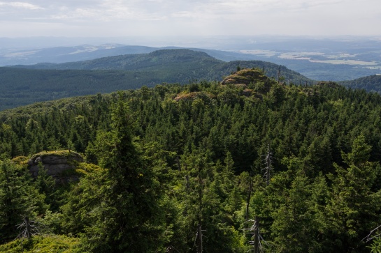 Ptačí kupy a Holubník