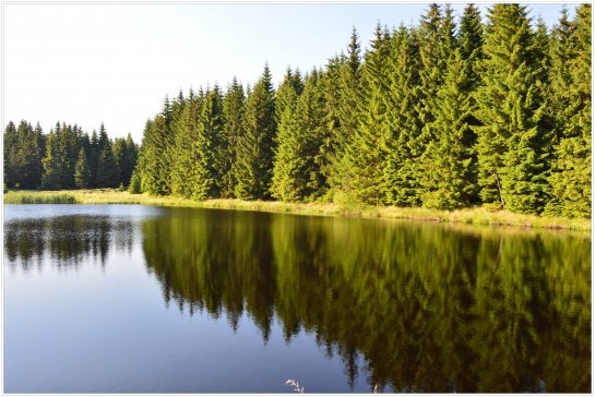 Příroda, Novodomská rašeliniště, Hora Sv.Šebestiána, Chomutovsko No.1