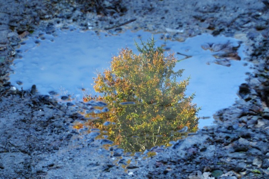 Nebe na zemi - Nový Hrozenkov, Kohútka