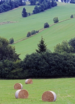 Roženecké Paseky