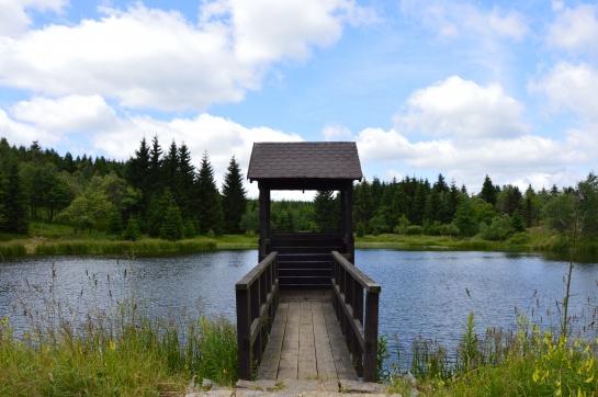 Černý rybník nad Mezihořím