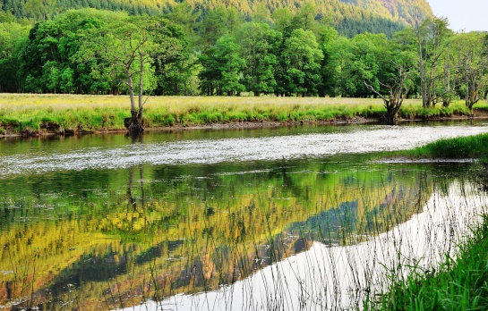 SKOTSKO - u jezera LOCH LUBNAIG