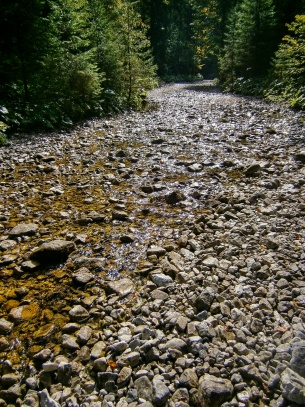 Veľký Sokol