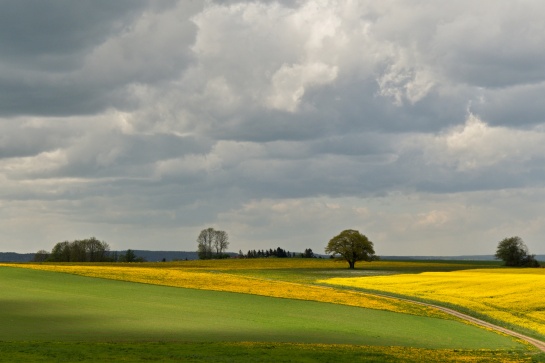 Krajina nad Českou Rybnou