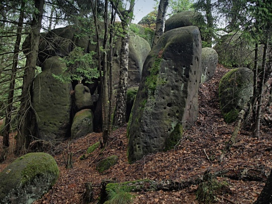 Polické stěny - Broumovsko