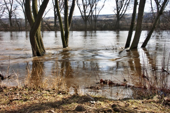 Dolní Poohří