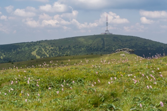 Praděd a Petrovy kameny II