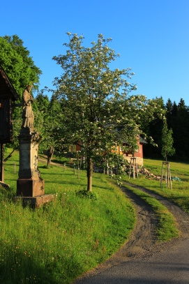 Paseky nad Jizerou